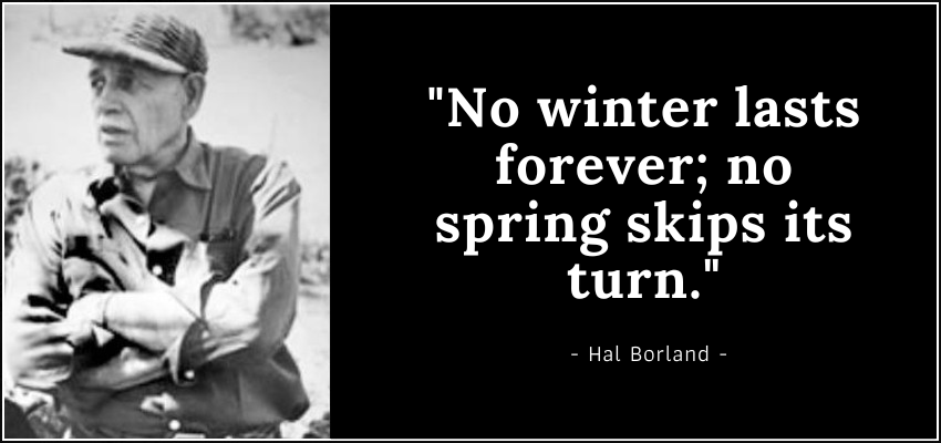 Emerging from Winter: The Journey of Emotional Renewal and the Promise of Spring
